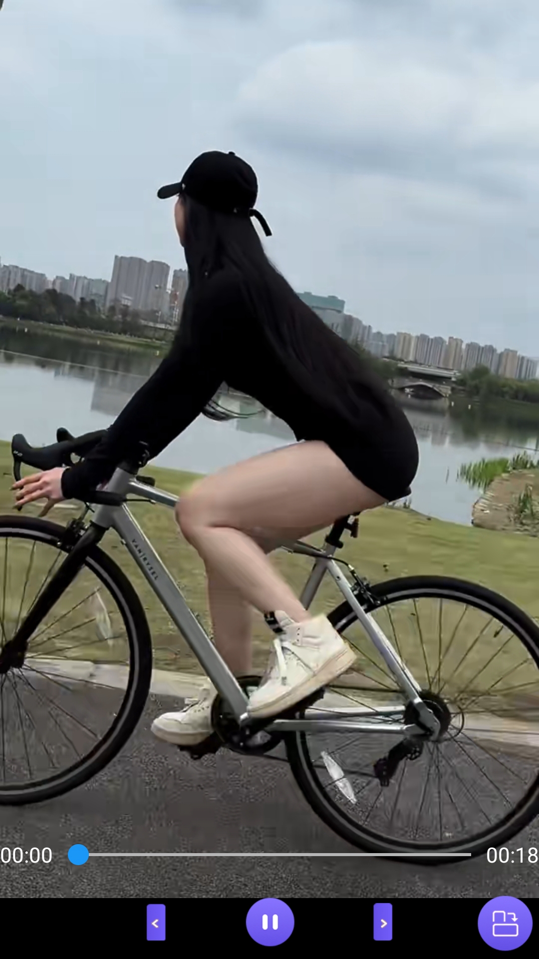 多脚的爬行动物截图